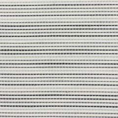 Stout Colson Domino 4 No Limits Collection Upholstery Fabric
