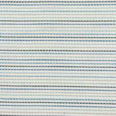 Stout Colson Seaglass 5 No Limits Collection Upholstery Fabric