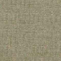 Stout Conlin Aloe 2 Comfortable Living Collection Upholstery Fabric