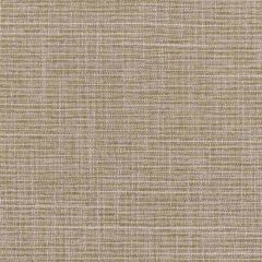 Stout Crater Raffia 7 Temptation II Drapery Textures Collection Drapery Fabric