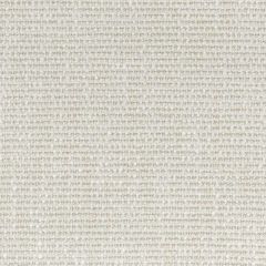 Stout Credence Vanilla 1 Living Is Easy Collection Upholstery Fabric