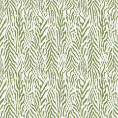 Stout Cyrene Grass 1 Comfortable Living Collection Multipurpose Fabric