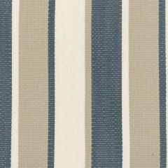Stout Danbury Jasmine 1 No Limits Collection Upholstery Fabric