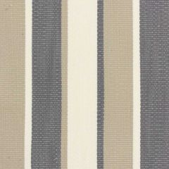 Stout Danbury Shadow 4 No Limits Collection Upholstery Fabric