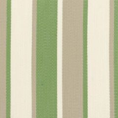 Stout Danbury Grass 5 No Limits Collection Upholstery Fabric