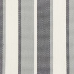 Stout Danbury Flint 6 No Limits Collection Upholstery Fabric