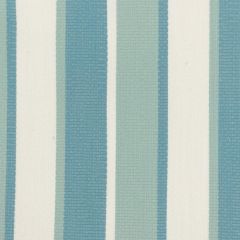 Stout Danbury Seacrest 8 No Limits Collection Upholstery Fabric