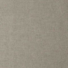 Stout Dapper Taupe 10 Kai Peninsula Collection Multipurpose Fabric