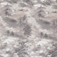 Stout Decatur Grey 4 Kai Peninsula Collection Multipurpose Fabric