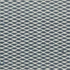 Stout Dempsey Indigo 2 Comfortable Living Collection Upholstery Fabric