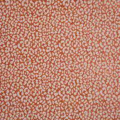 Stout Denison Melon 1 Comfortable Living Collection Upholstery Fabric