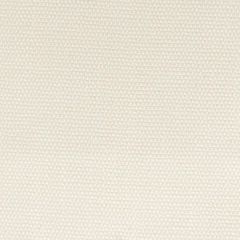 Stout Dimitri Pearl 3 Living Is Easy Collection Upholstery Fabric