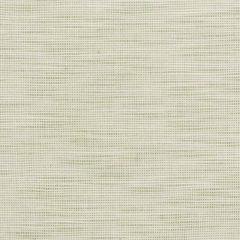 Stout Disbelieve Pear 3 Texture Appeal Collection Multipurpose Fabric