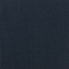 Stout Dixon Navy 4 Serendipity Collection Multipurpose Fabric