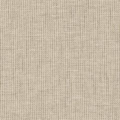 Stout Dumas Beige 1 Rainbow Library Collection Multipurpose Fabric