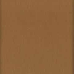 Stout Elbert Nut 3 Leather Looks Collection Upholstery Fabric