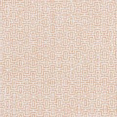 Stout Filigree Melon 2 Rainbow Library Collection Upholstery Fabric