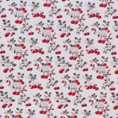 Stout Flawless Cherry 1 Comfortable Living Collection Multipurpose Fabric