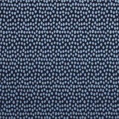 Stout Frodo Navy 3 Kai Peninsula Collection Upholstery Fabric