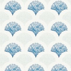 Stout Gadabout Blue/White 2 Rainbow Library Collection Multipurpose Fabric