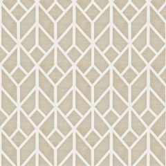 Stout Garrison Taupe 1 Color My Window Collection Multipurpose Fabric