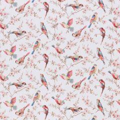 Stout Gemini Blush 1 Comfortable Living Collection Multipurpose Fabric