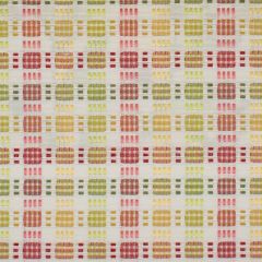 Stout Gift Tuttifrutti 4 Rainbow Library Collection Multipurpose Fabric