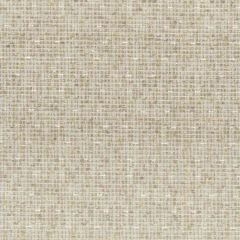 Stout Gortham Raffia 3 Living Is Easy Collection Upholstery Fabric