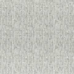 Stout Gortham Stone 4 Living Is Easy Collection Upholstery Fabric
