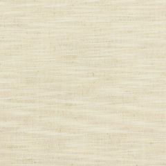 Stout Gossamer Marble 4 Texture Appeal Collection Multipurpose Fabric