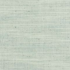 Stout Gossamer Dewkist 7 Texture Appeal Collection Multipurpose Fabric