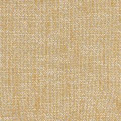 Stout Hewlett Harvest 1 Comfortable Living Collection Upholstery Fabric