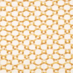 Hinson Island Trellis Yellow HN 000242014 Hinson Library Collection Multipurpose Fabric