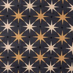 Hinson Star Power Charcoal HN 000542023 Albert Hadley Collection Multipurpose Fabric