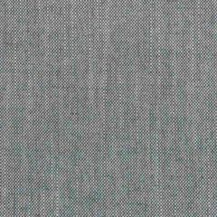 Stout Holyoke Slate 10 Texture Appeal Collection Multipurpose Fabric