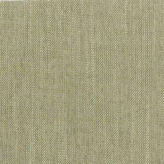 Stout Holyoke Sage 3 Texture Appeal Collection Multipurpose Fabric