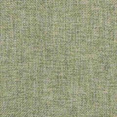 Stout Imperial Spring 3 Comfortable Living Collection Upholstery Fabric