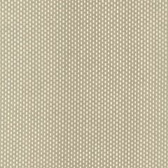 Stout Ironwood Beige 1 Rainbow Library Collection Multipurpose Fabric