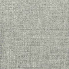 Stout Jamboree Nickel 5 Put It In Neutral Collection Drapery Fabric