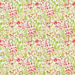 Stout Jarrettsville Raspberry 2 Rainbow Library Collection Multipurpose Fabric