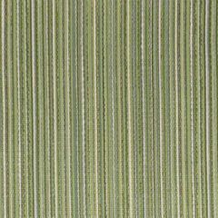Stout Kummel Grass 5 Rainbow Library Collection Upholstery Fabric