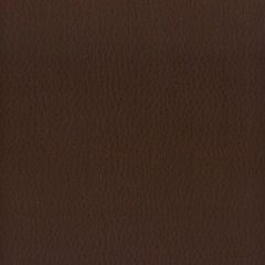 Stout Lodge Walnut 15 Leather Looks Collection Upholstery Fabric