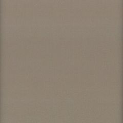 Stout Lodge Zinc 18 Leather Looks Collection Upholstery Fabric