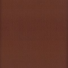 Stout Lodge Raisin 2 Leather Looks Collection Upholstery Fabric