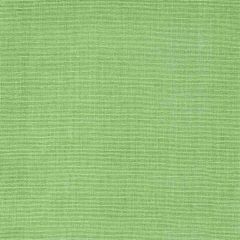 Stout Logan Grass 1 Comfortable Living Collection Drapery Fabric