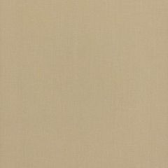 Stout Lonnie Beige 2 Comfortable Living Collection Multipurpose Fabric