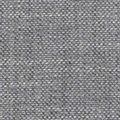 Stout Manray Charcoal 1 Endless Opportunity Collection Upholstery Fabric