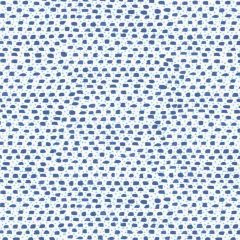 Stout Mcqueen Azure 1 Serendipity Collection Multipurpose Fabric