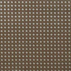 Stout Miser Tawny 4 Kai Peninsula Collection Upholstery Fabric