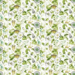 Stout Obtuse Jungle 1 Rainbow Library Collection Multipurpose Fabric